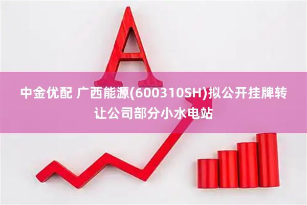 中金优配 广西能源(600310SH)拟公开挂牌转让公司部分小水电站